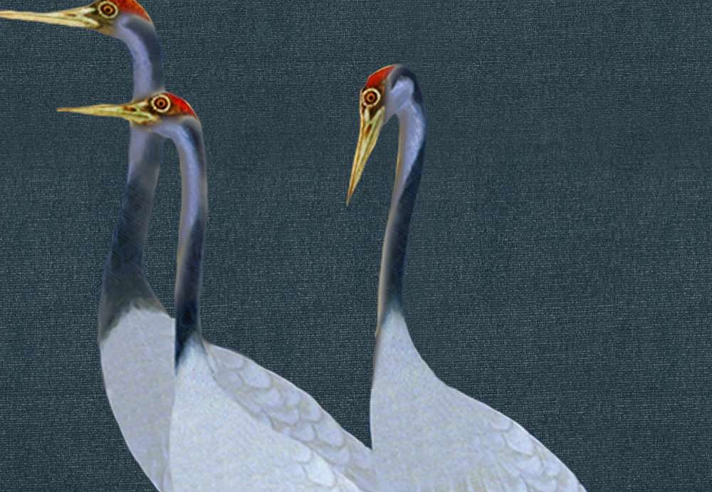 Панно и фотообои Misha Asia Cranes/Blu Notte
