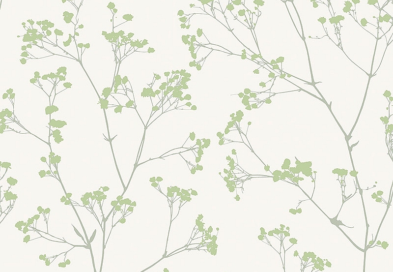 Обои Paper & Ink Natural Silhouettes NS50304