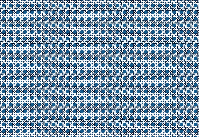 Обои Paper & Ink Natural Silhouettes NS51202