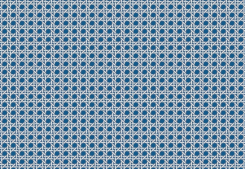 Обои Paper & Ink Natural Silhouettes NS51202