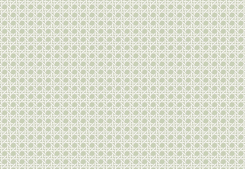 Обои Paper & Ink Natural Silhouettes NS51204