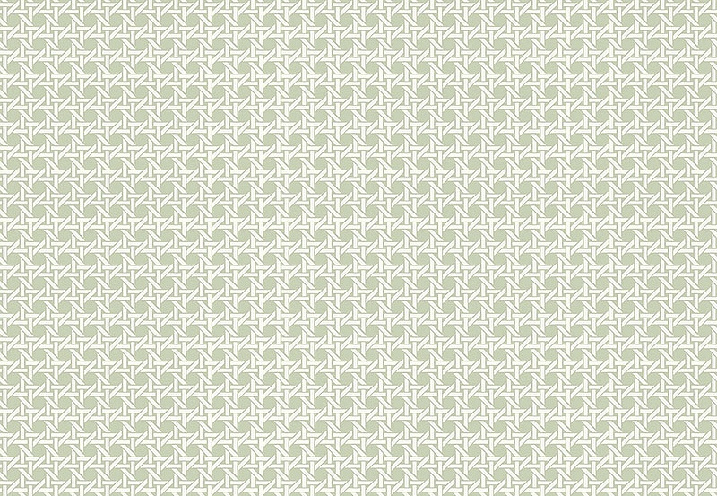 Обои Paper & Ink Natural Silhouettes NS51204