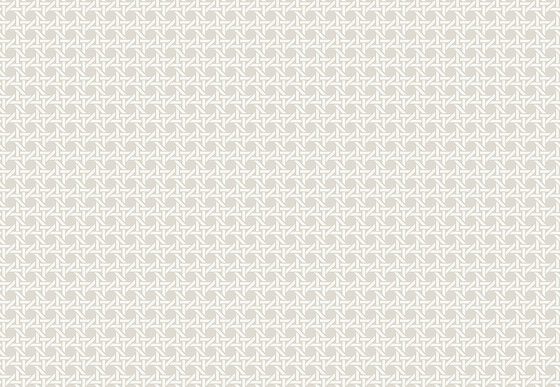 Обои Paper & Ink Natural Silhouettes NS51206