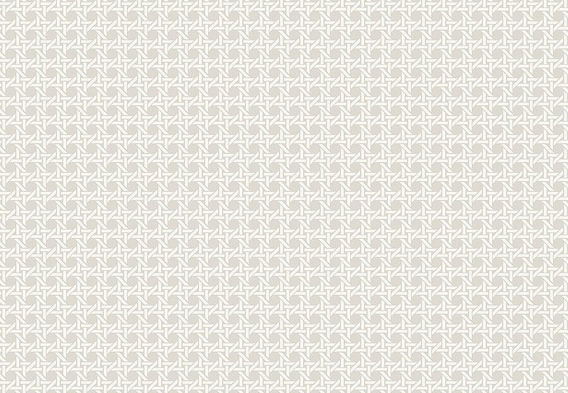 Обои Paper & Ink Natural Silhouettes NS51206