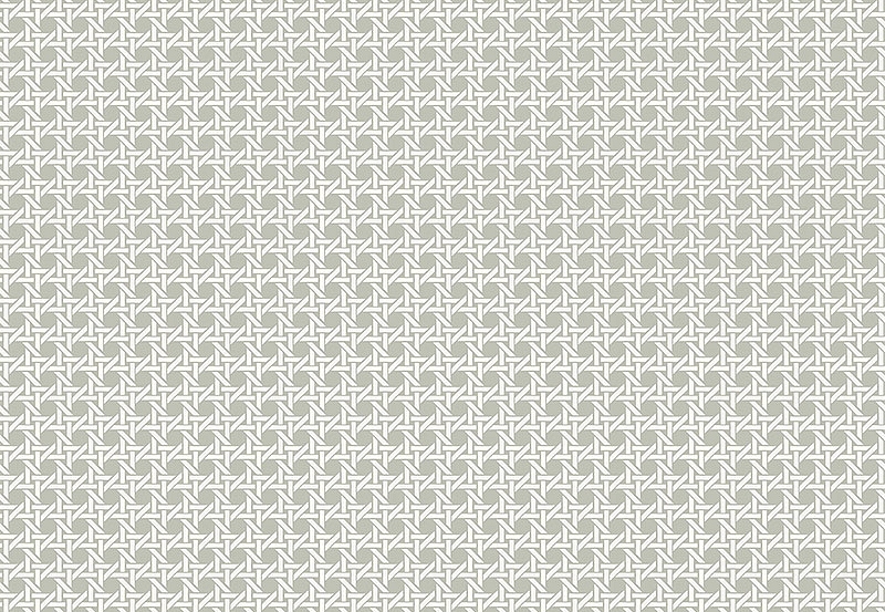 Обои Paper & Ink Natural Silhouettes NS51208