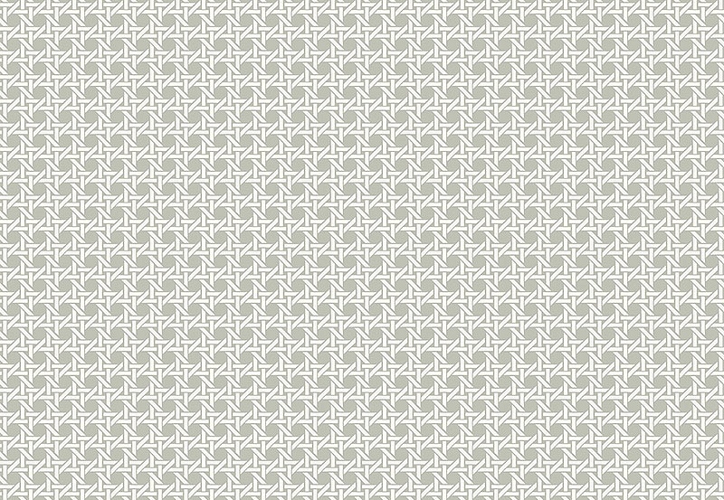 Обои Paper & Ink Natural Silhouettes NS51208