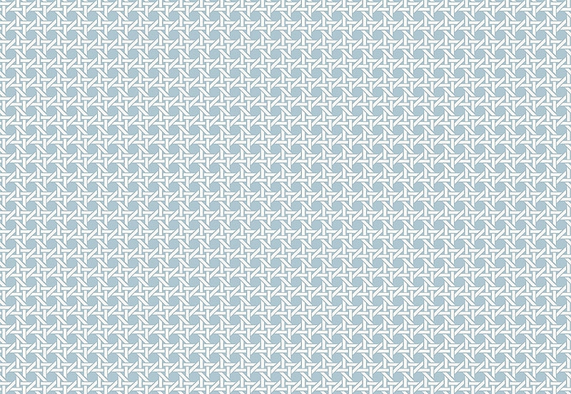 Обои Paper & Ink Natural Silhouettes NS51212