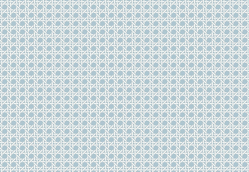 Обои Paper & Ink Natural Silhouettes NS51212
