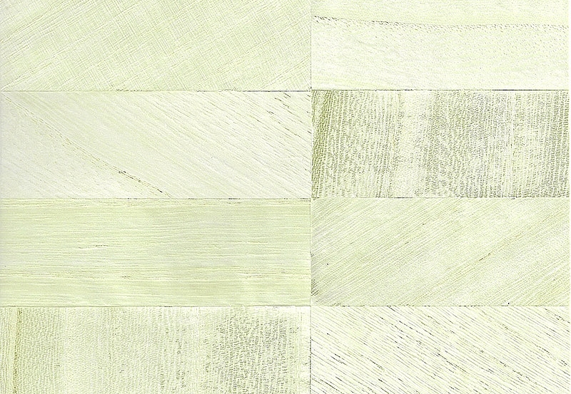 Обои Paper & Ink Natural Silhouettes NS51503