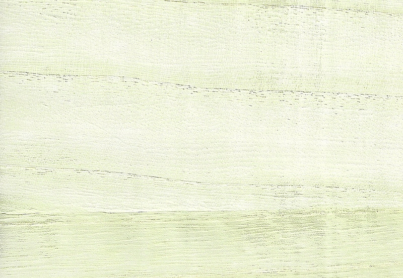 Обои Paper & Ink Natural Silhouettes NS52103