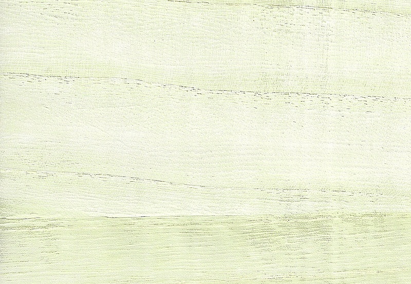 Обои Paper & Ink Natural Silhouettes NS52103