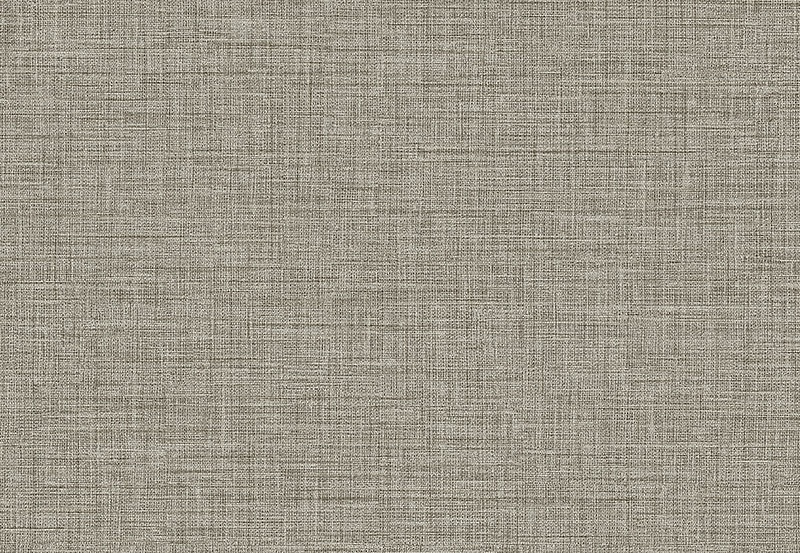 Обои Paper & Ink Natural Silhouettes NS52307