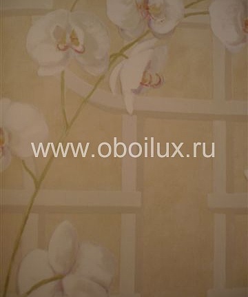 Обои Pelican Prints Modern Chic GR-51707