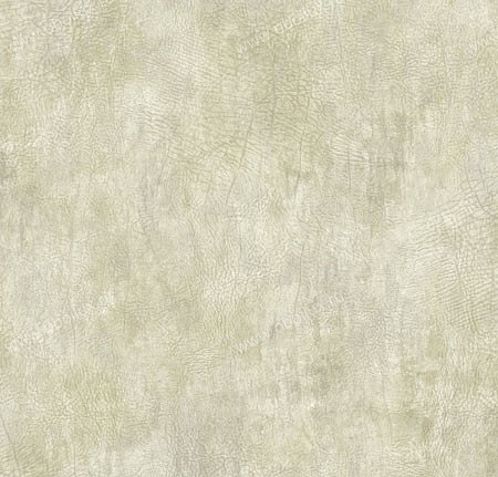 Обои Wallquest Trieste rg41608