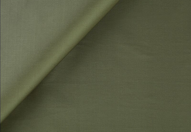 Ткань Jim Thompson Thai silk I 110732