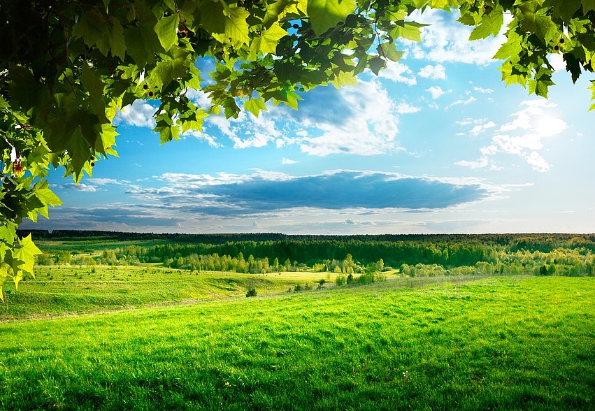 Панно и фотообои ID Wall NO.2 ID022170