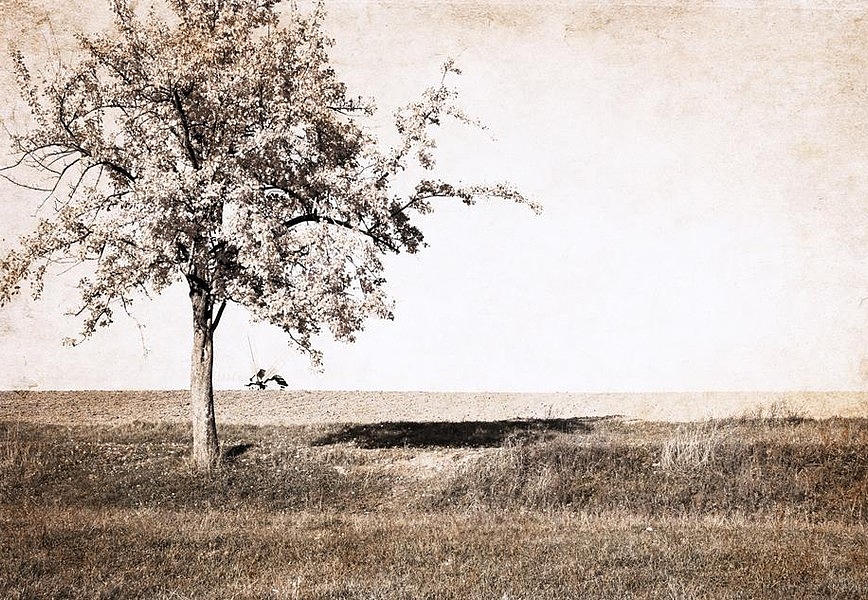 Панно и фотообои ID Wall NO.2 ID024062