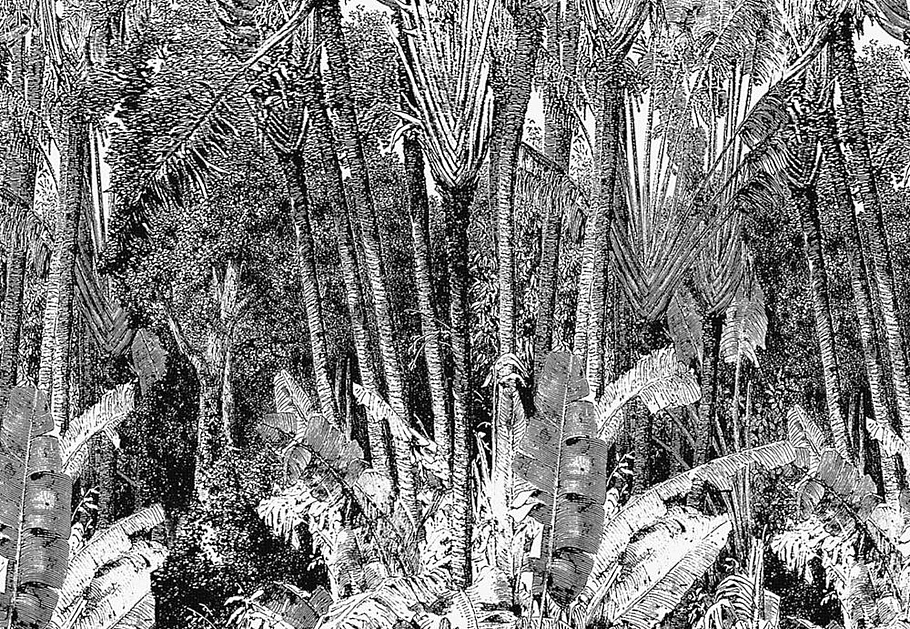 Панно и фотообои Casamance Oxymore 1 77321039