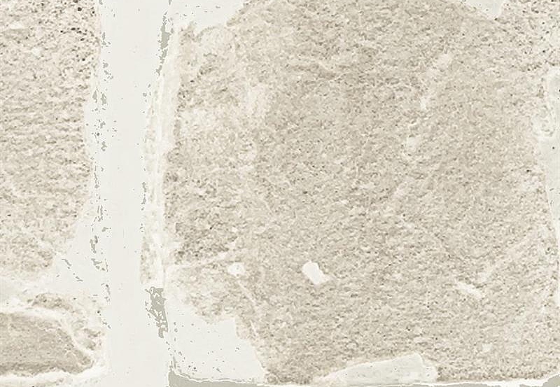 Обои Casamance Oxymore 2 77560256
