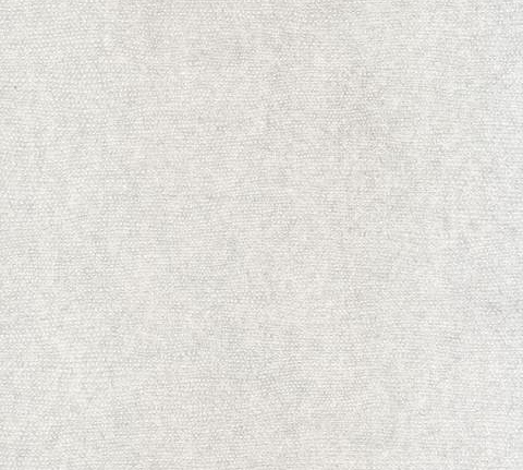 Обои Casamance Chromatic C72010231