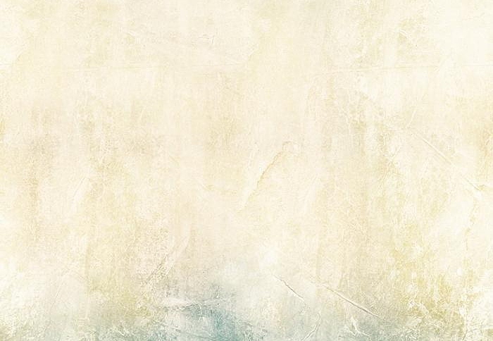 Панно и фотообои Casadeco So Wall 2 SWL27286313