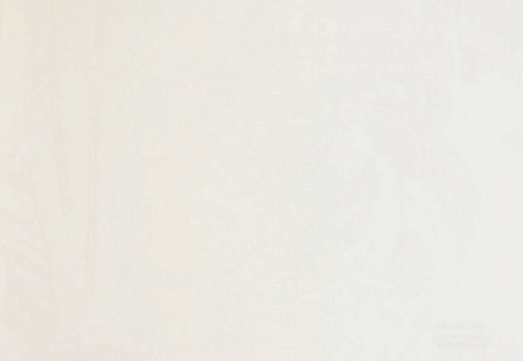 Обои Casadeco So White 2 SWI24840116