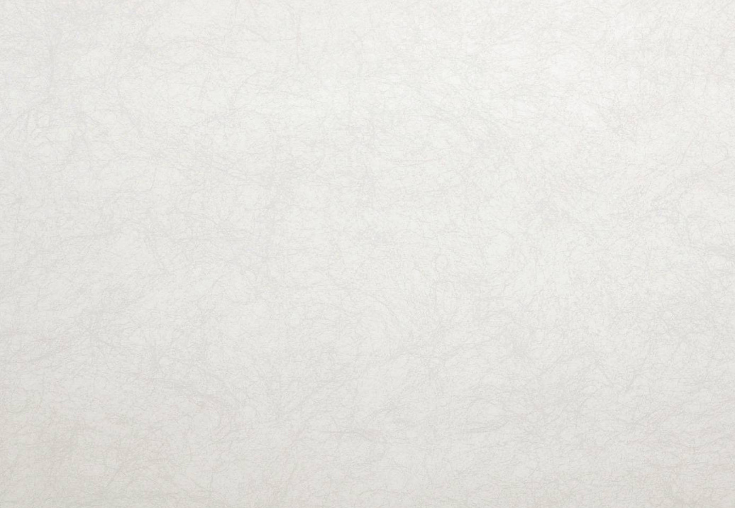 Обои Casadeco So White 2 SWI63490088