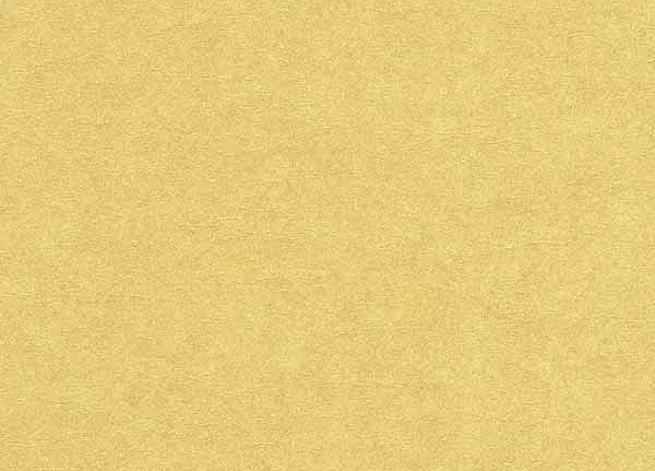Обои Casadeco Yellowstone YST19162128