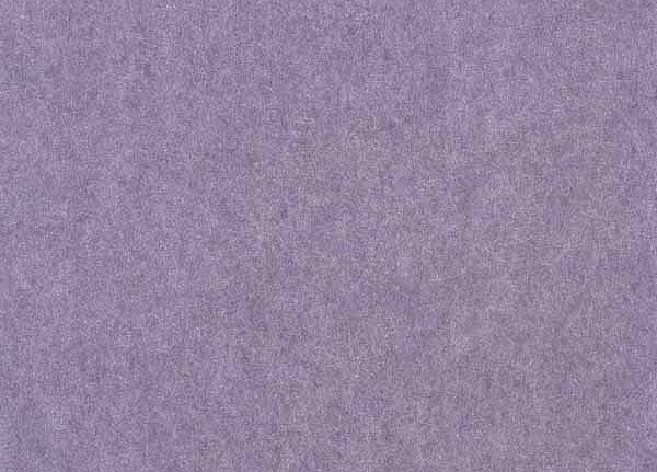 Обои Casadeco Yellowstone YST24965510