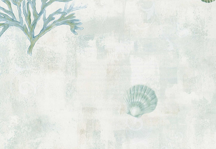 Обои Chesapeake Sand Dollar DLR54532