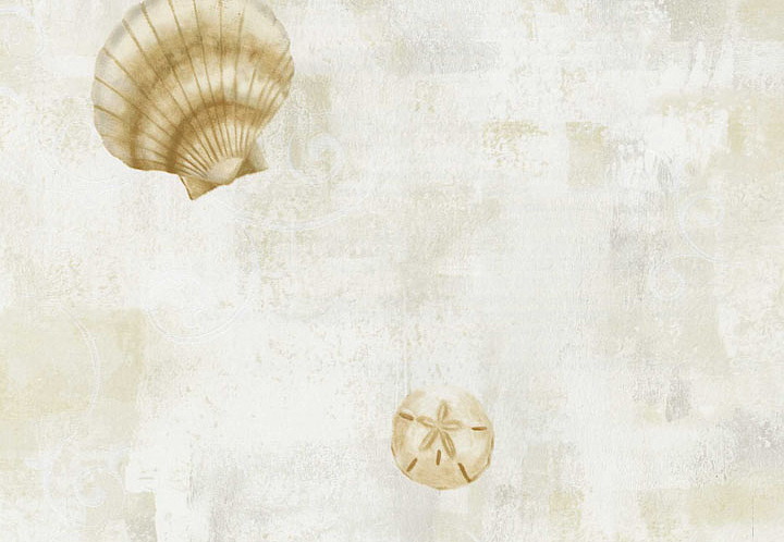 Обои Chesapeake Sand Dollar DLR54533