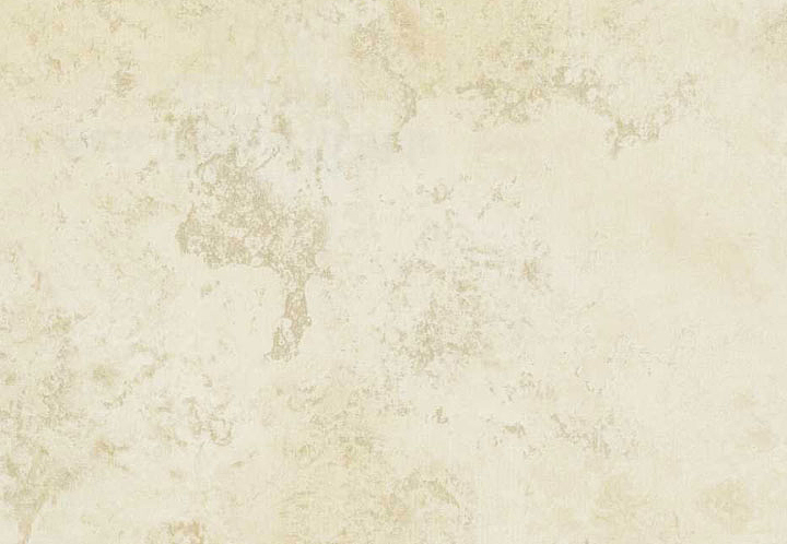 Обои Chesapeake Sand Dollar DLR661828