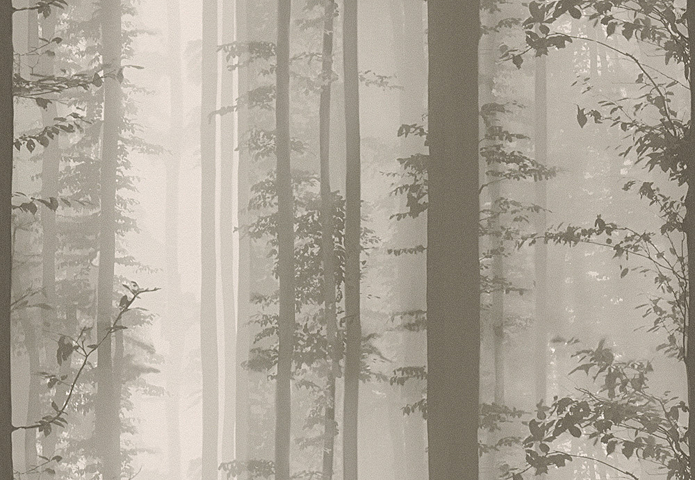Обои A. S. Creation Little Forest 30060-2