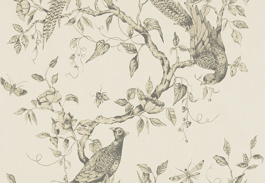Обои Zoffany Darnley 312848