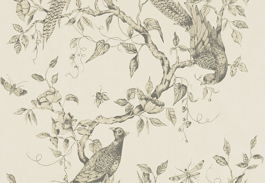 Обои Zoffany Darnley 312848
