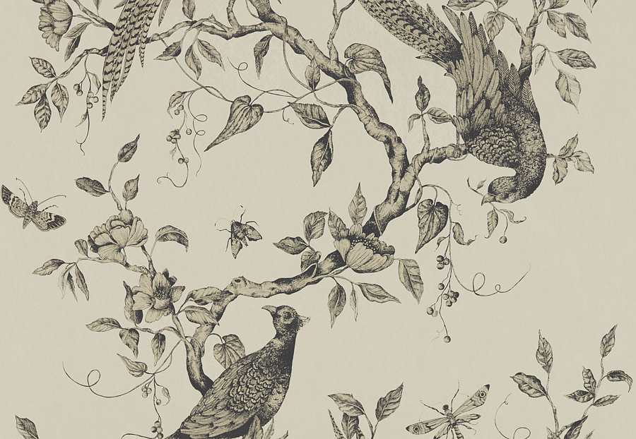 Обои Zoffany Darnley 312849
