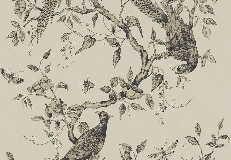 Обои Zoffany Darnley 312849