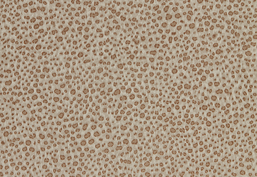 Обои Zoffany Darnley 312877