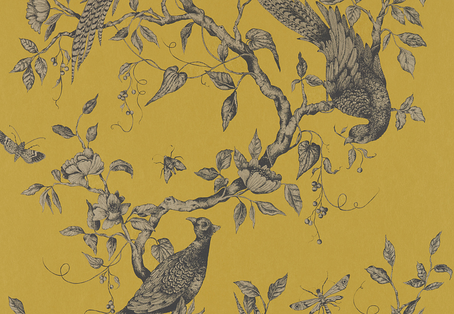 Обои Zoffany Darnley 312884