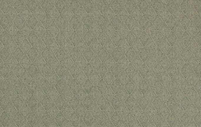 Английская ткань Colefax and Fowler, коллекция Roscoe, артикул F4767-04