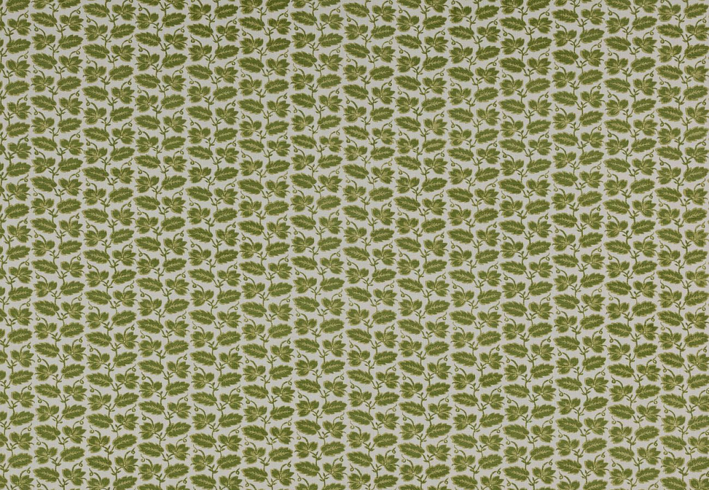 Ткань Colefax and Fowler Ashmead F4749/02