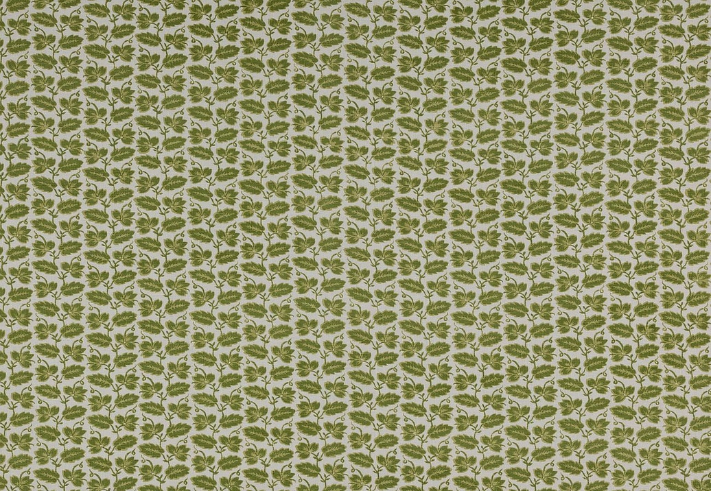 Ткань Colefax and Fowler Ashmead F4749/02