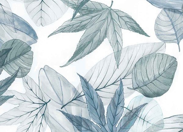 Ткань Alessandro Bini Driver collection JS15/200