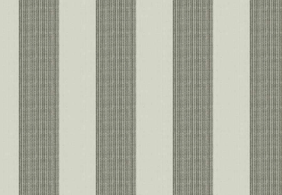 Ткань Fabricut Natural Nuances Vignettes Oyster TaikaStripe/Graphite