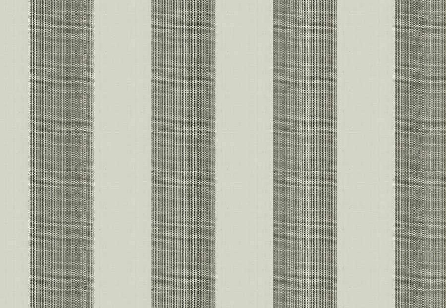 Ткань Fabricut Natural Nuances Vignettes Oyster TaikaStripe/Graphite