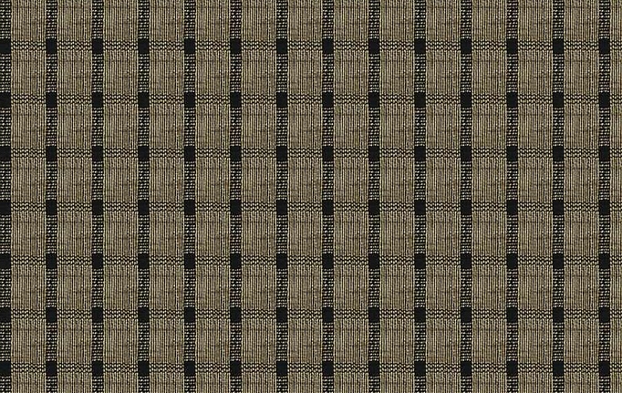 Американская ткань Fabricut, коллекция Natural Nuances Vignettes Java, артикул OsageCheck/Noir