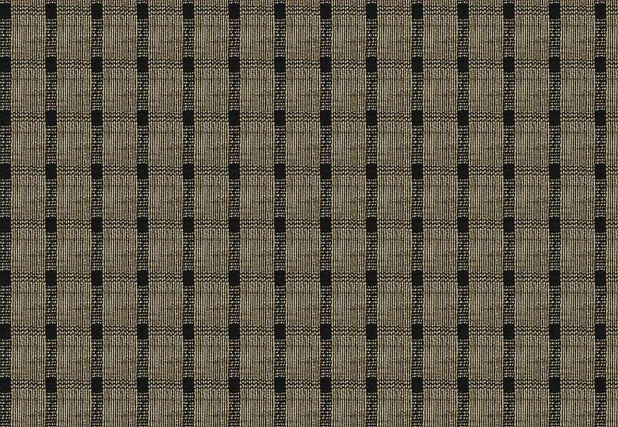 Ткань Fabricut Natural Nuances Vignettes Java OsageCheck/Noir