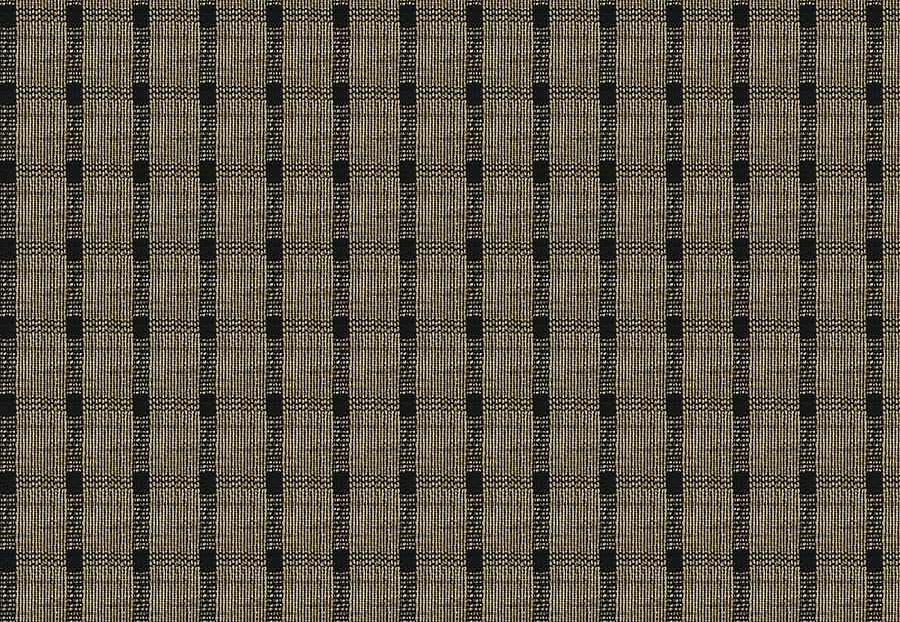 Ткань Fabricut Natural Nuances Vignettes Java OsageCheck/Noir