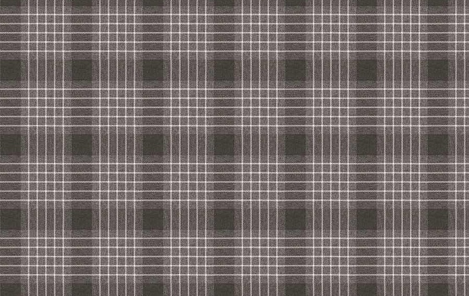 Американская ткань Fabricut, коллекция Natural Nuances Vignettes Java, артикул Durian/Pewter