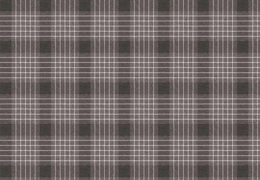 Ткань Fabricut Natural Nuances Vignettes Java Durian/Pewter